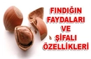 Fındık Yararları Nelerdir? Fındık Yararları Nelerdir?
