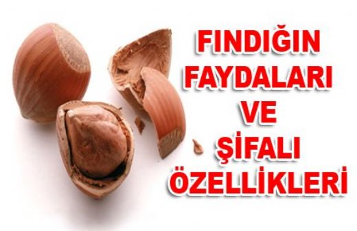 Fındık Yararları Nelerdir?